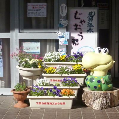 P1080287.JPG
