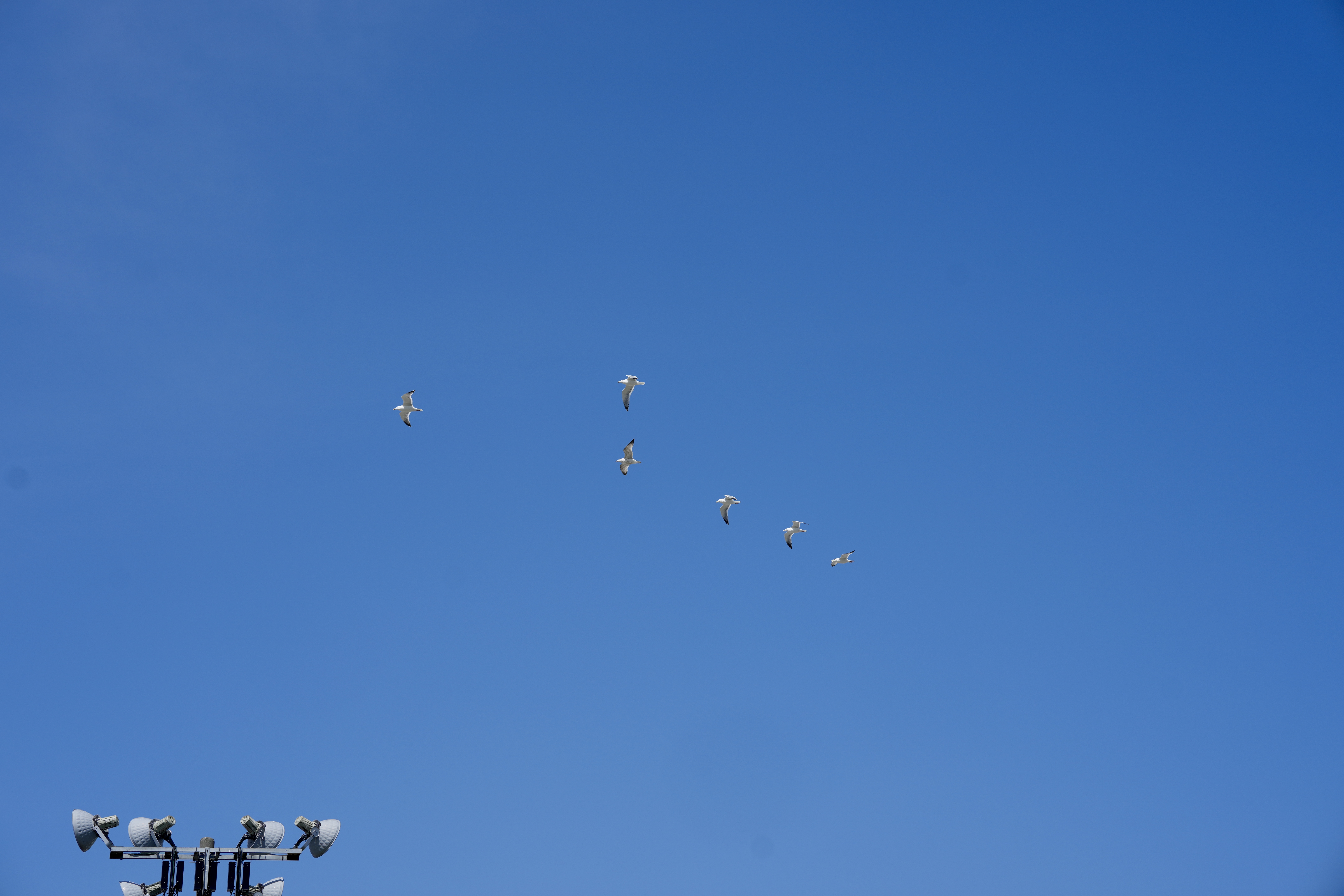 DSC07346.jpeg