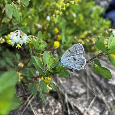 IMG_7504.jpeg