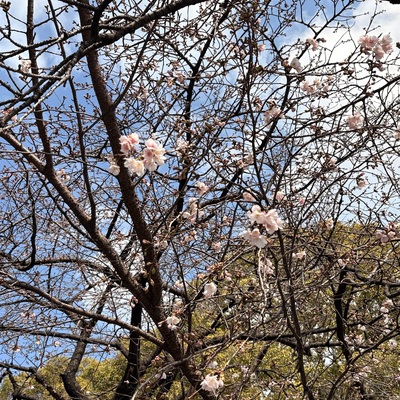 IMG_4728.jpeg