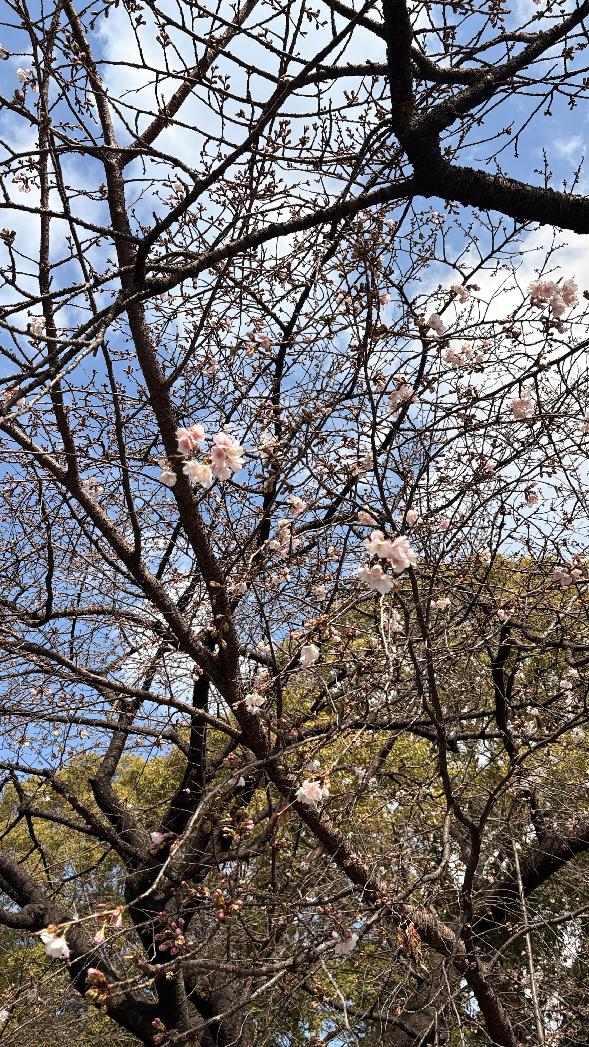 IMG_4728.jpeg