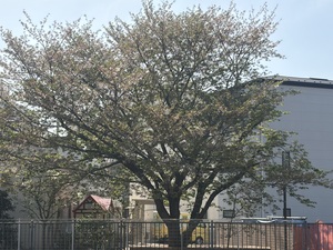 IMG_6306.jpeg