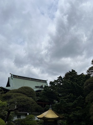 IMG_3094.jpeg