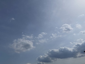6A1D5822-DC19-4ADF-A3FC-CC372A49B099.jpeg