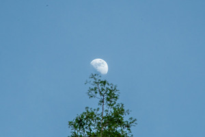 IMGP2308.jpg