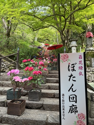 IMG_1103.jpeg