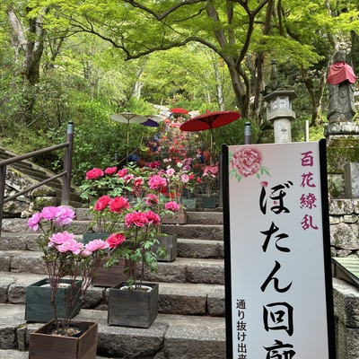 IMG_1103.jpeg