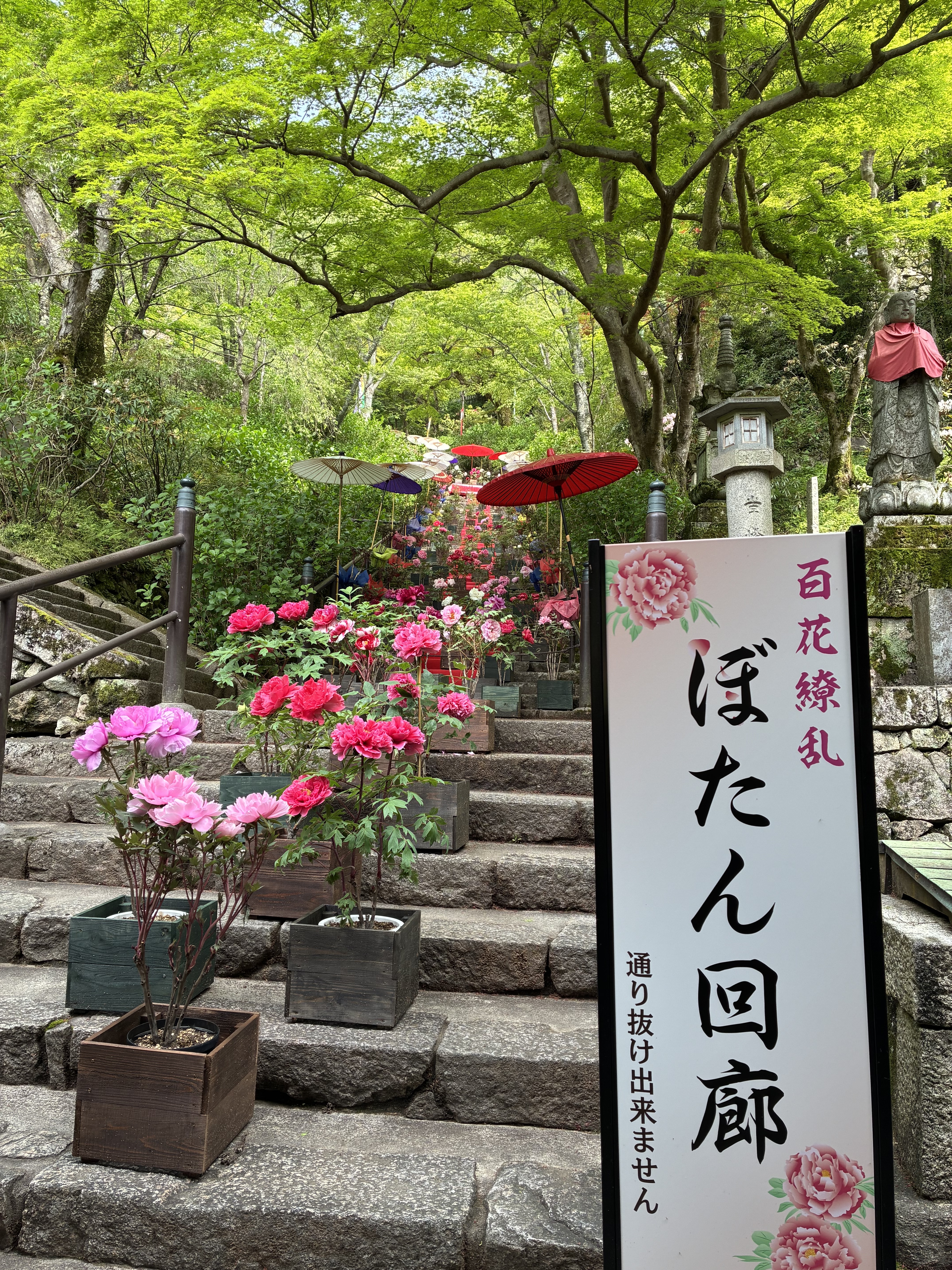 IMG_1103.jpeg