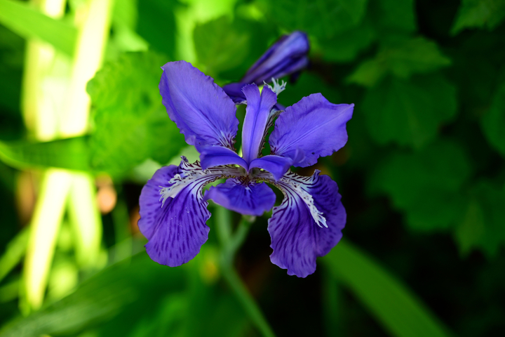DSC_1059_01.jpg