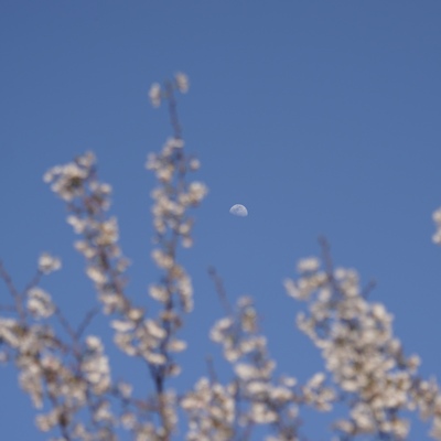 DSC04101.jpeg