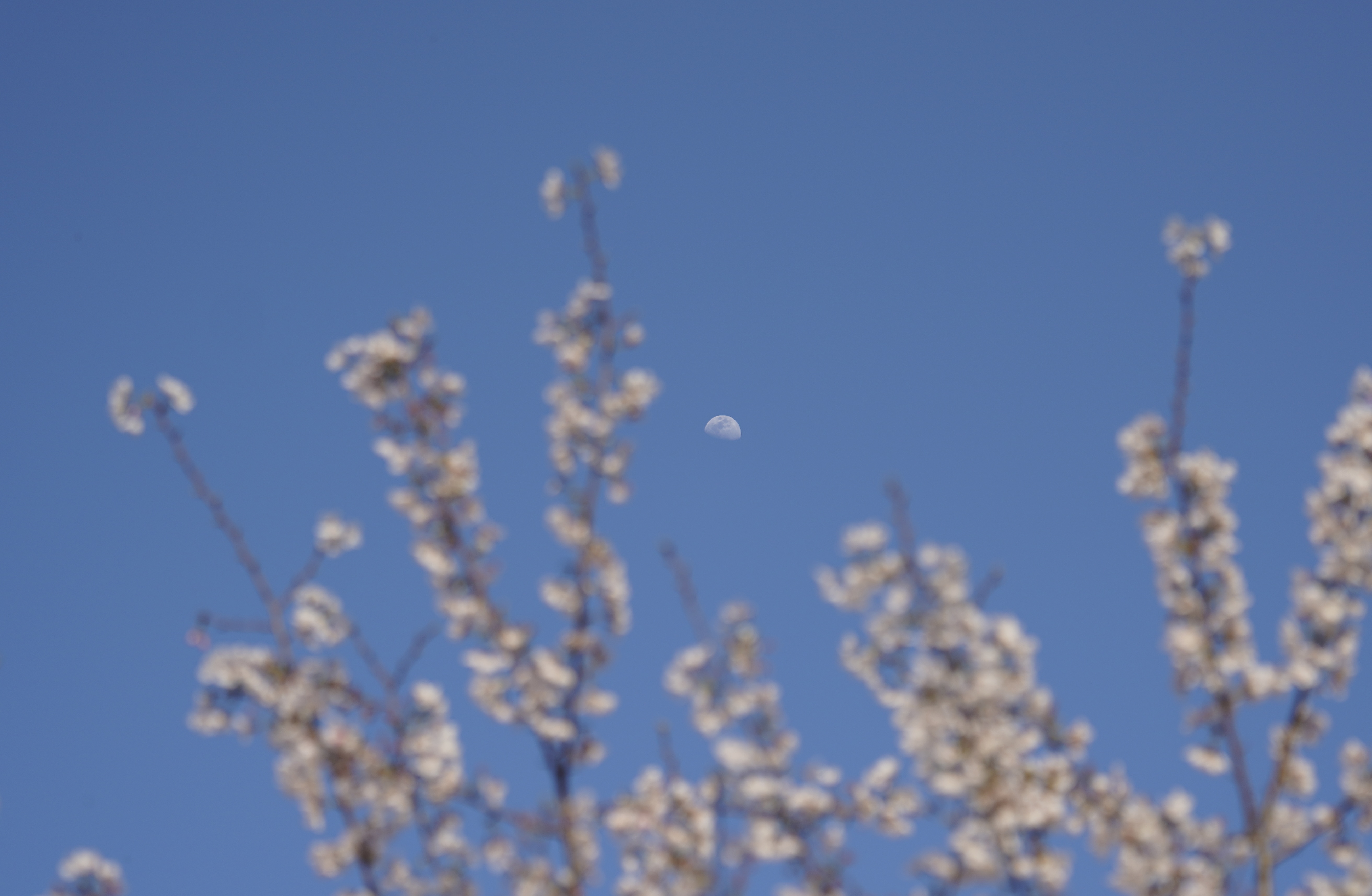 DSC04101.jpeg