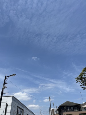IMG_3109.jpeg