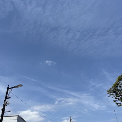 IMG_3109.jpeg