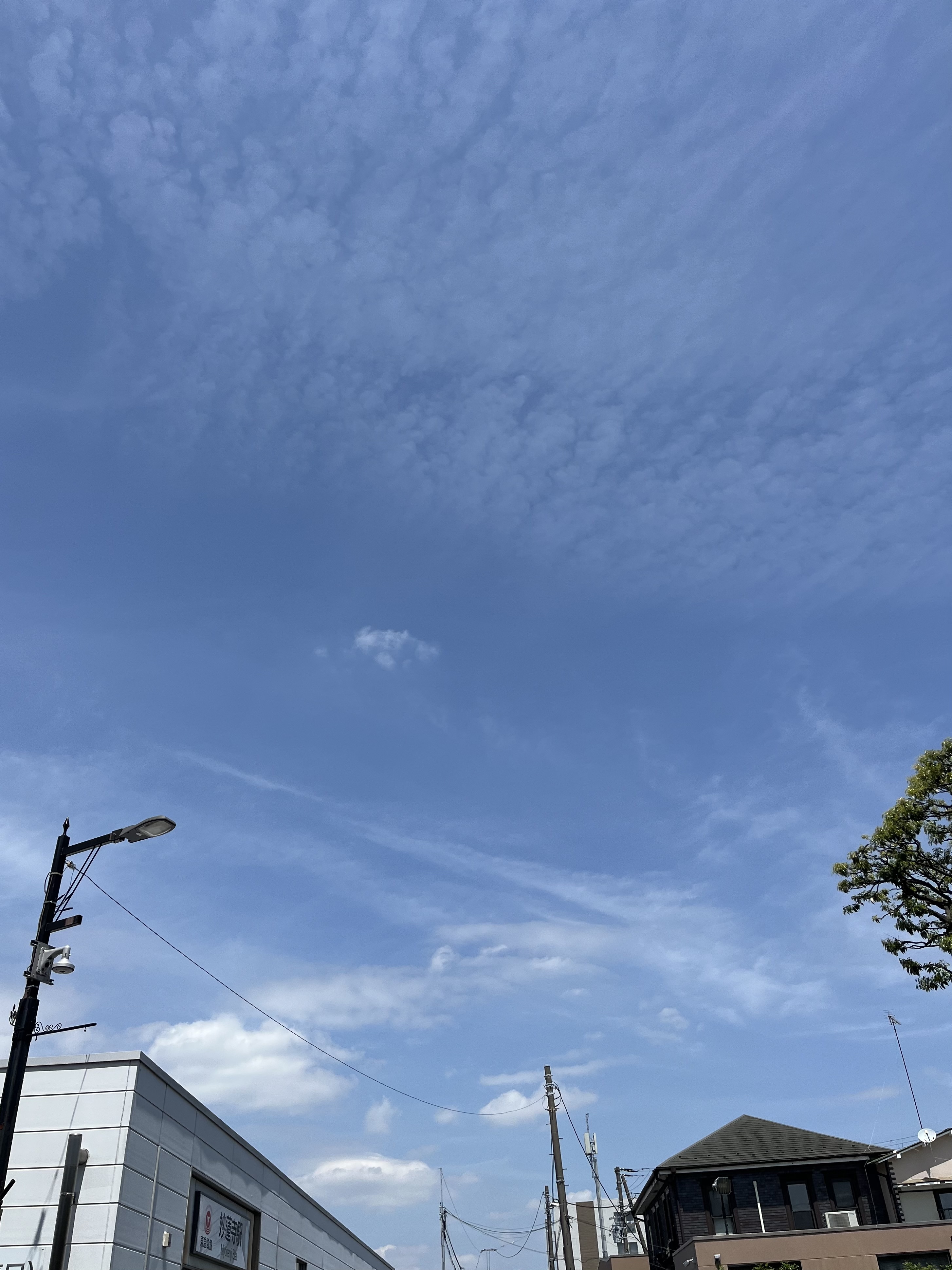 IMG_3109.jpeg