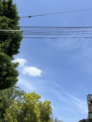 IMG_3110.jpeg