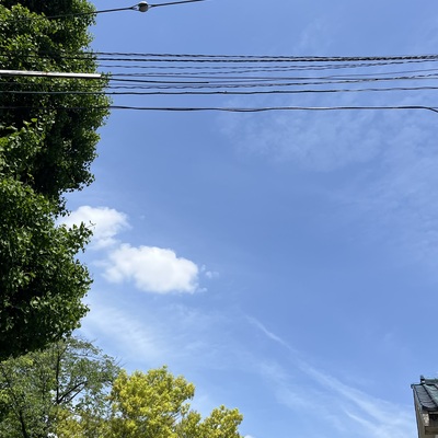 IMG_3110.jpeg