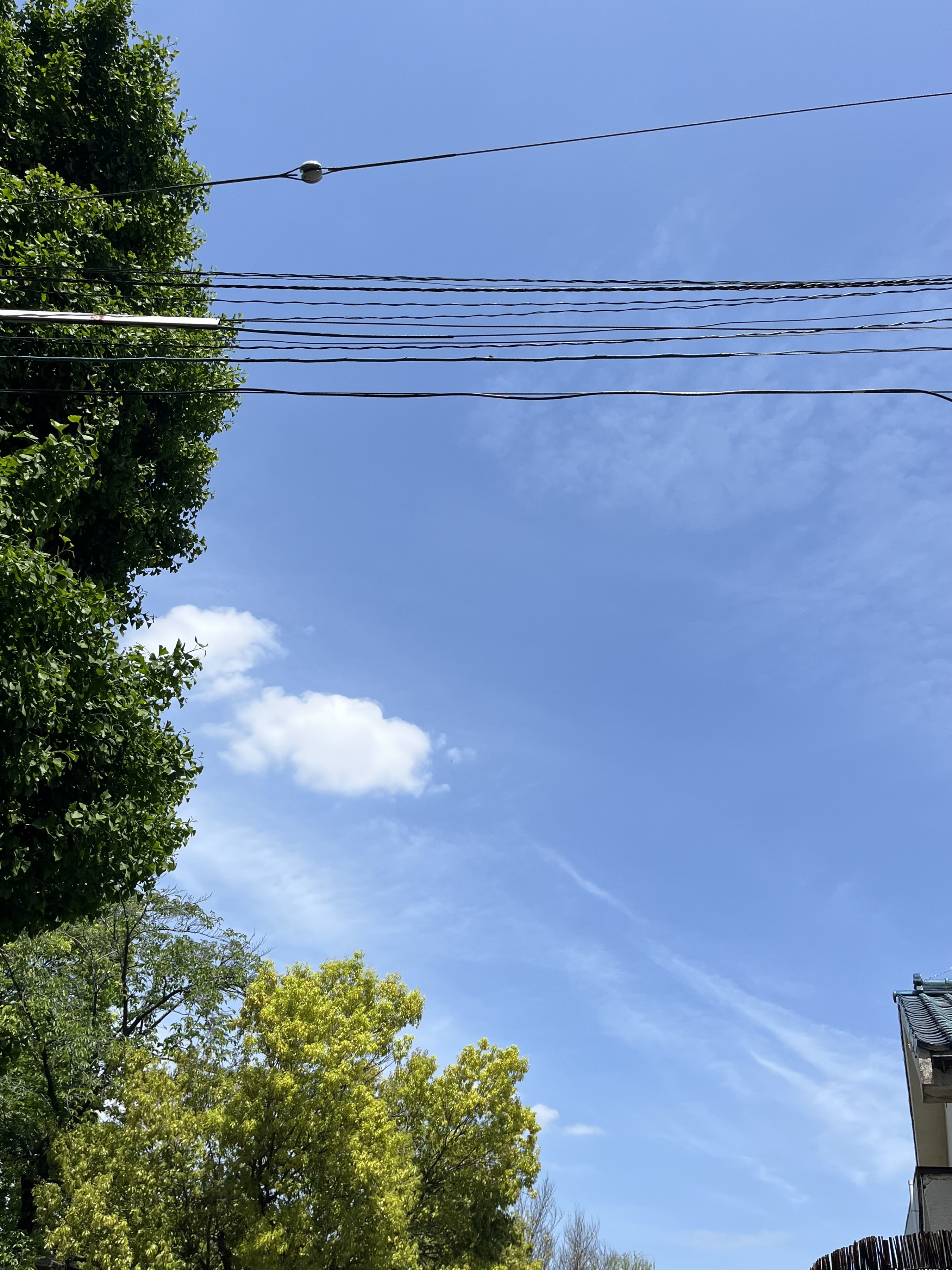 IMG_3110.jpeg