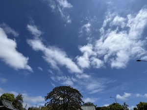 IMG_3114.jpeg