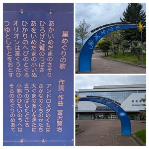 20260428_102423-COLLAGE.jpg
