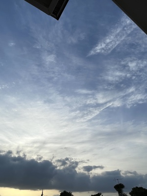 91AD645B-627E-4CAC-AB60-15940020D143.jpeg
