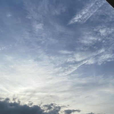 91AD645B-627E-4CAC-AB60-15940020D143.jpeg
