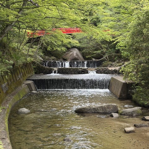 S__262758420.jpg