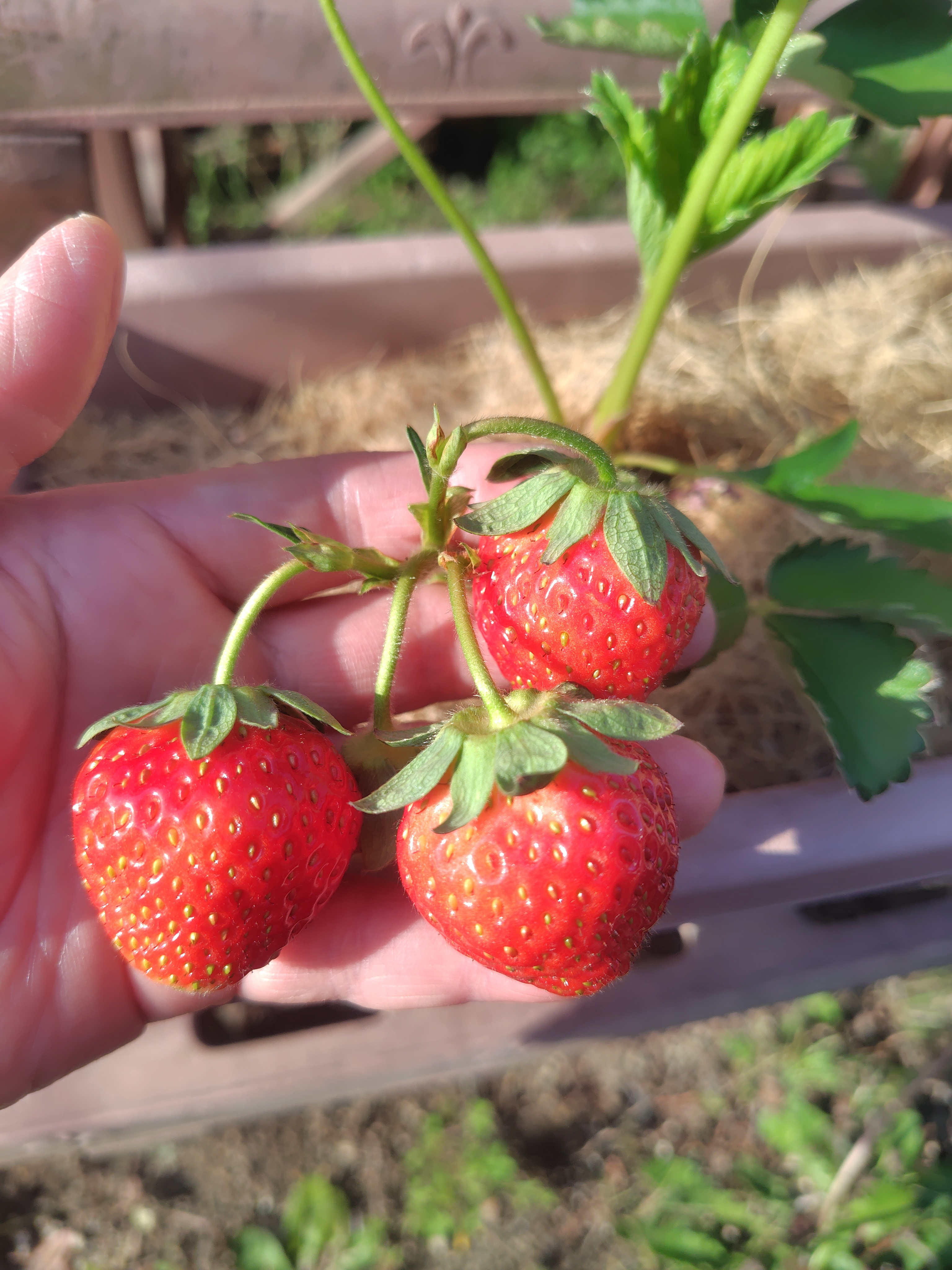 260428161504478.JPG