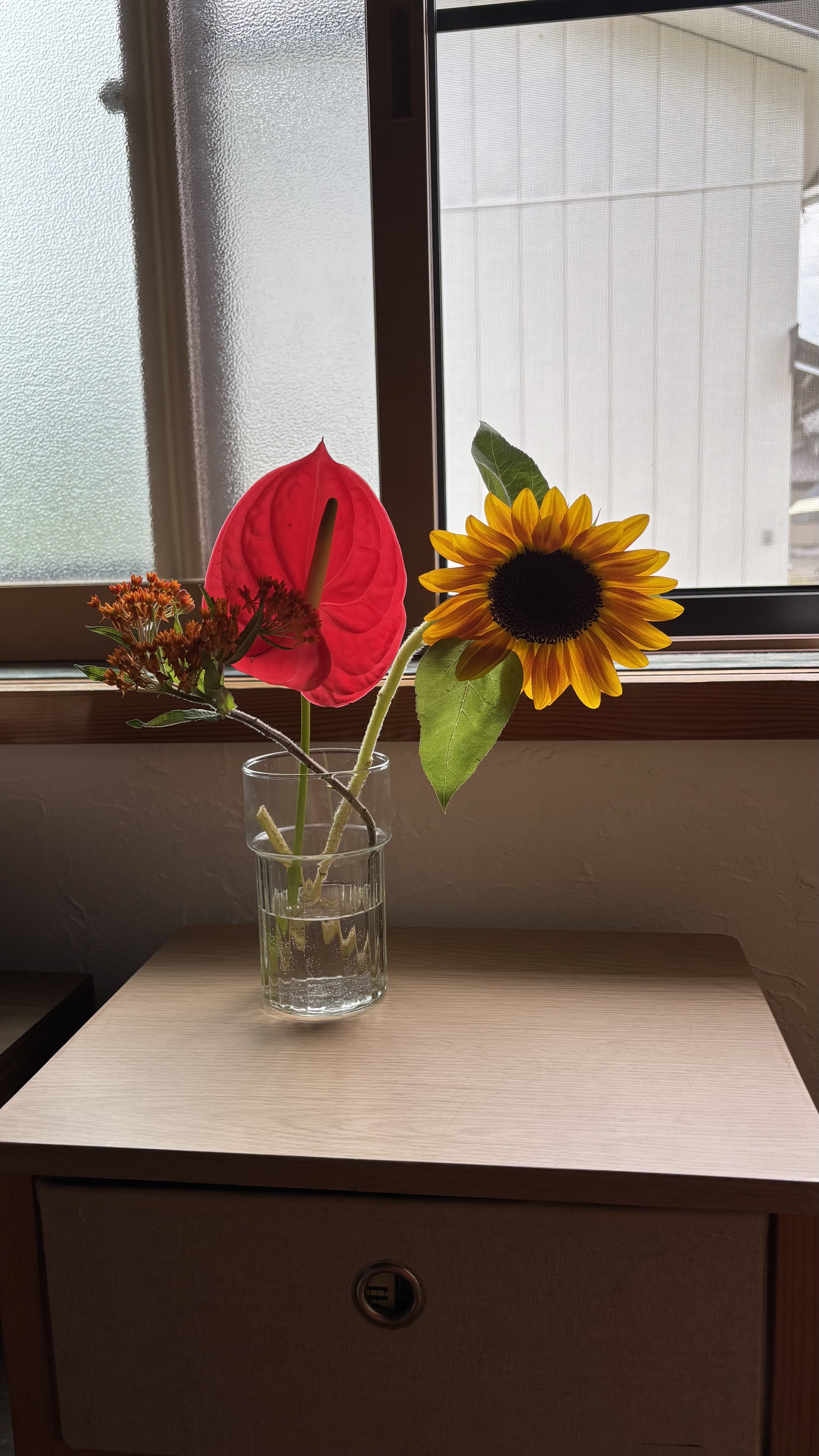 IMG_5507.jpeg