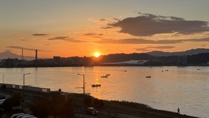 IMG_7011.jpeg