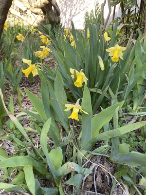 IMG_2165.jpeg
