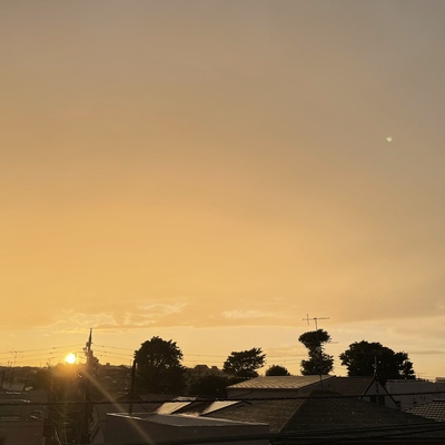 29228251-80ED-4B40-BC44-00D64E5DB5A8.jpeg