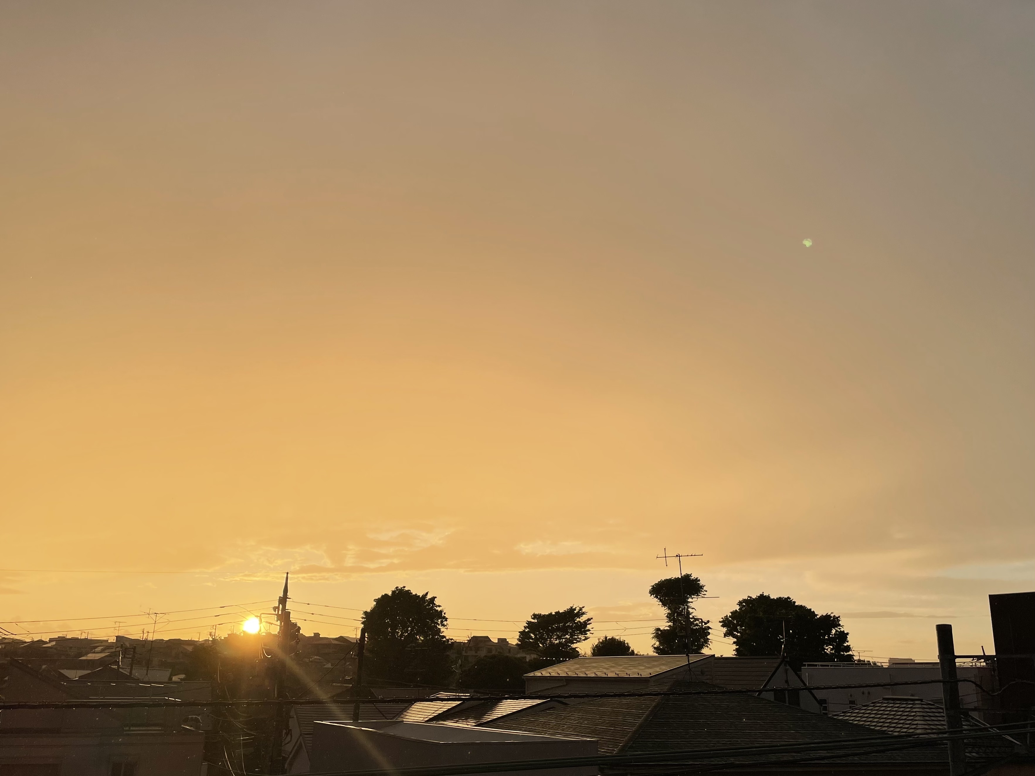 29228251-80ED-4B40-BC44-00D64E5DB5A8.jpeg