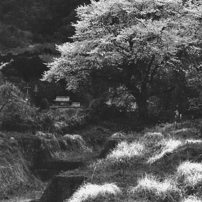 IMG_20260427_0004　OM-2_N__ILFORD_HP5_35-70mm_オレンジフイルター　ISO1500__NEW-1.png