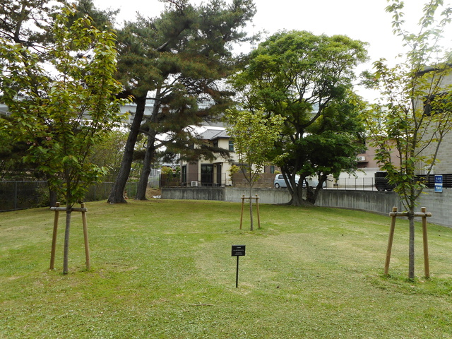 DSCN0119.JPG