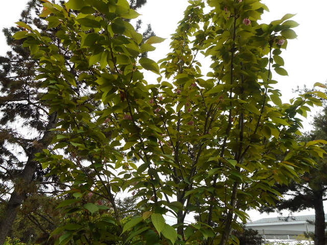 DSCN0120.JPG