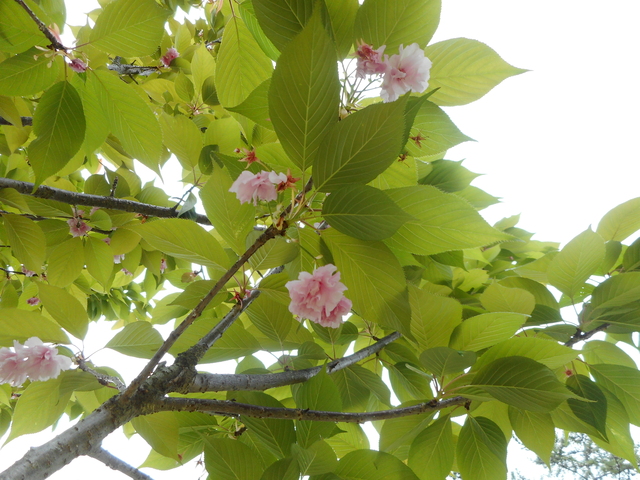 DSCN0122.JPG