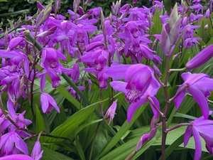 IMG_2548.jpeg