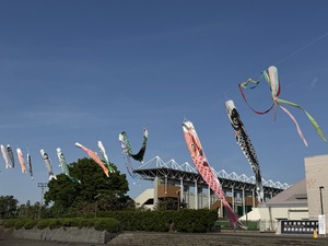 IMG_4313.jpeg