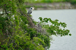 IMG_4343.jpeg