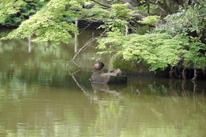 かる1.jpg