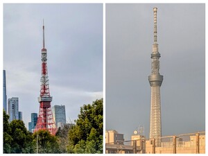 20260429_214308-COLLAGE.jpg
