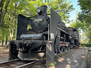 IMG_4303.jpeg