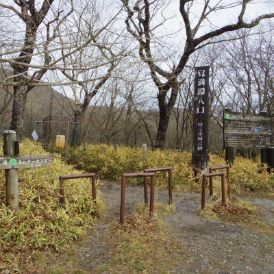 IMGP0939.JPG