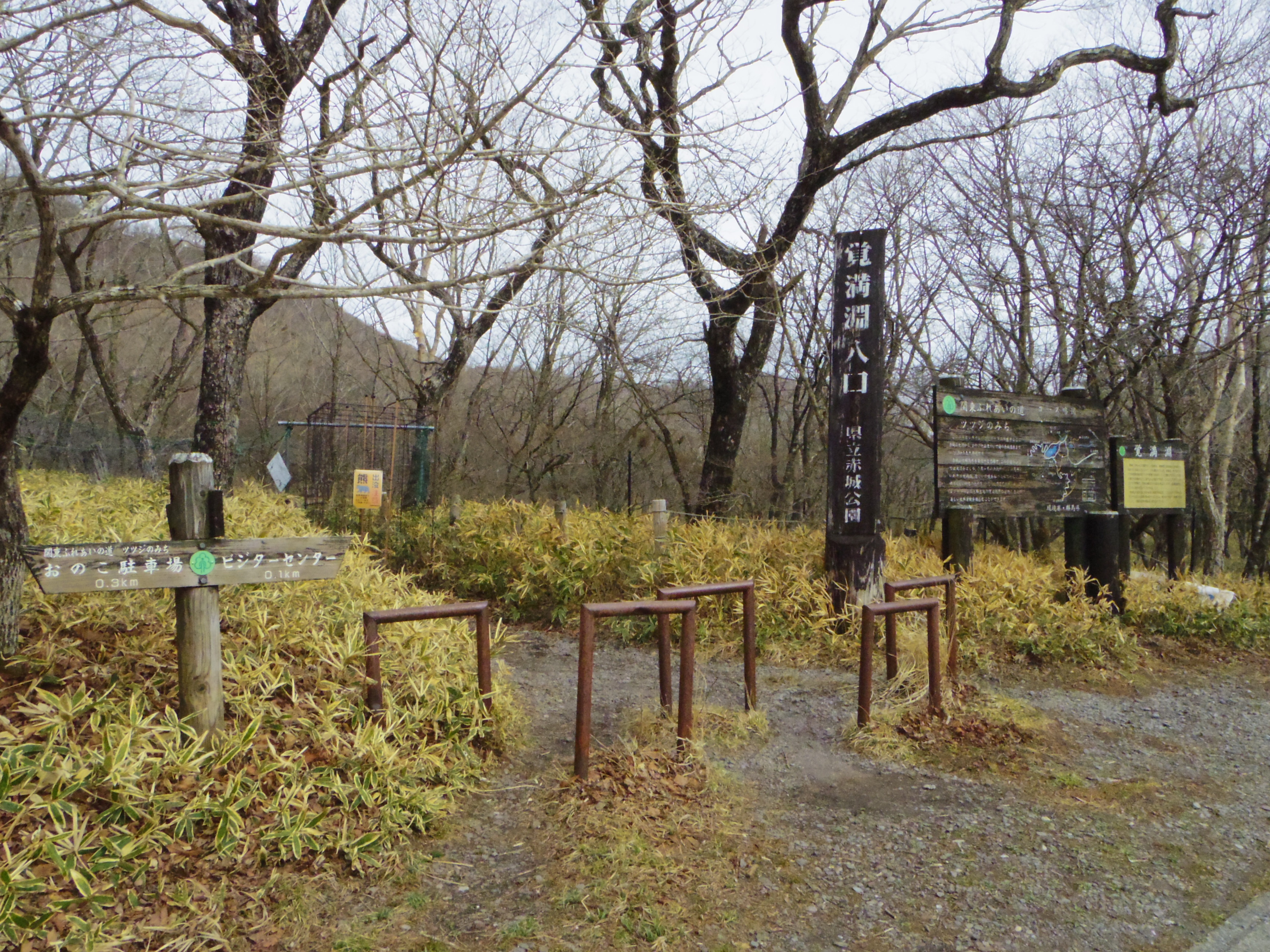 IMGP0939.JPG