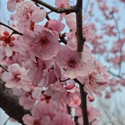 Screenshot_20260426-125034.WeChat_(1).png