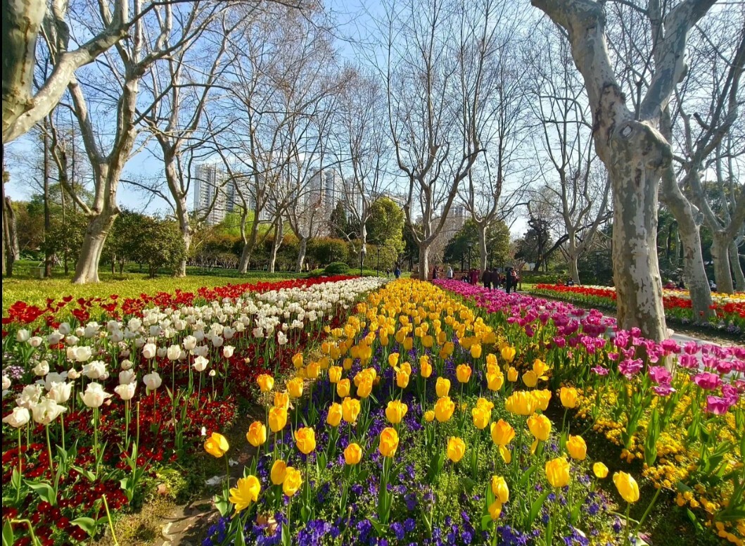 Screenshot_20260329-133225.WeChat_(1).png