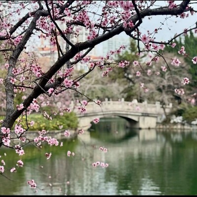 Screenshot_20260420-224230.WeChat_(2)_(1).png