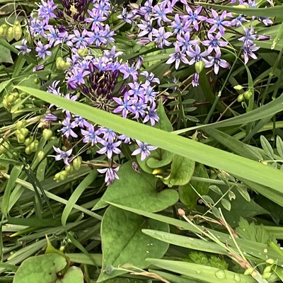 IMG_4438.jpeg