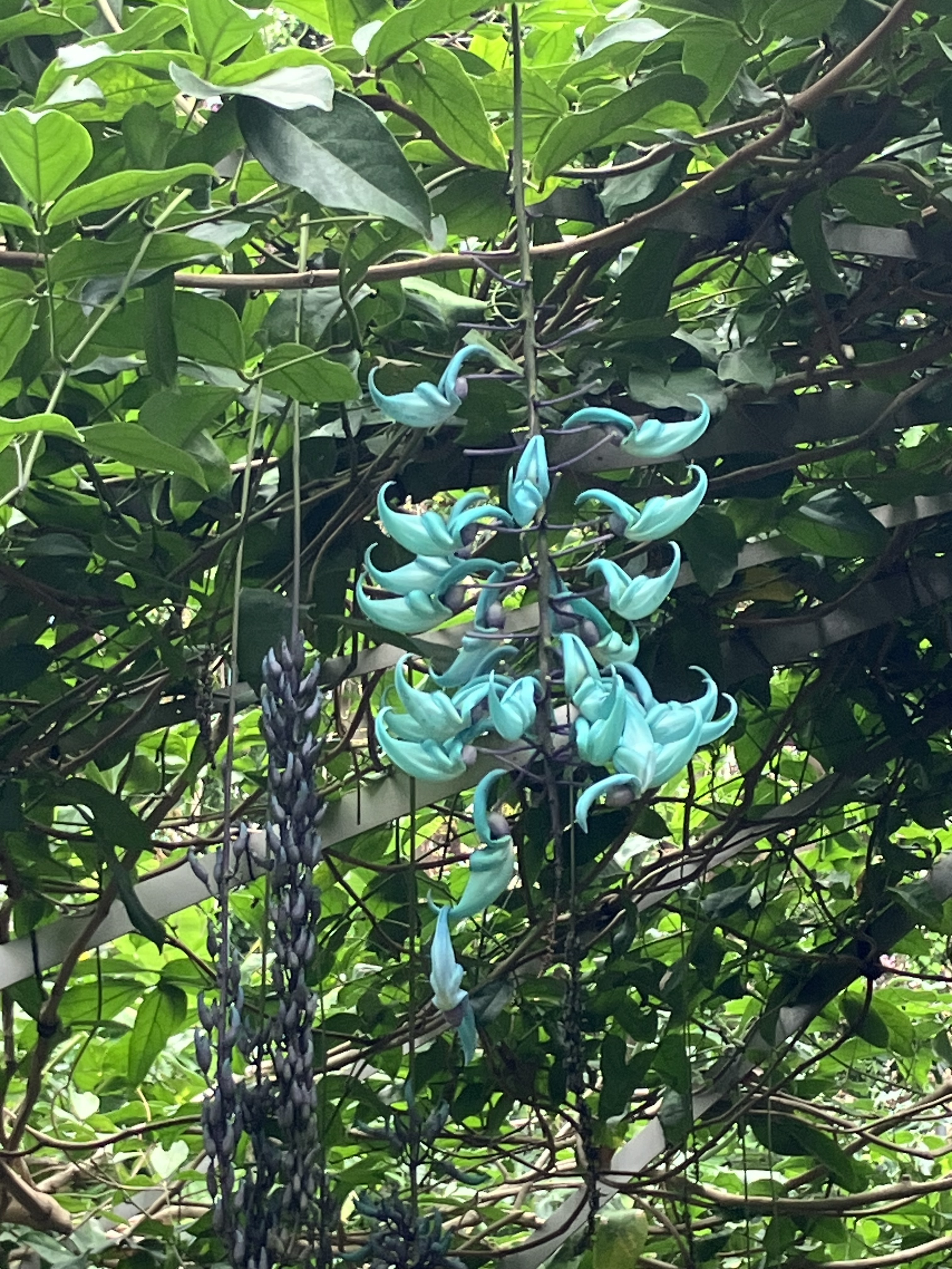 IMG_3165.jpeg