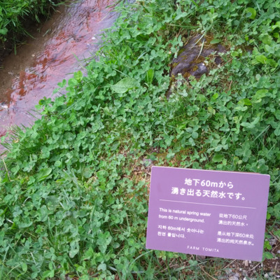 スクリーンショット_2026-04-30_120806.png